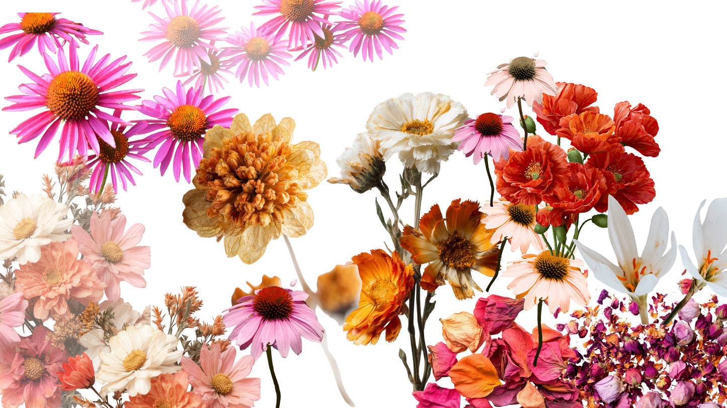 NOUVEAUTÉ: Ebook digital- La magie des collages volume 2: Édition rouge, passion intemporelle et les palettes de rouge